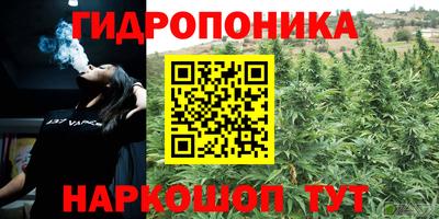 амф Донской