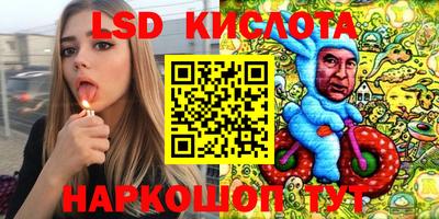 амф Донской