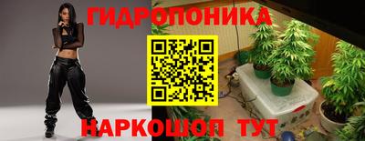 амф Донской