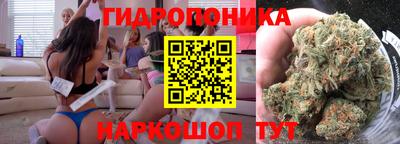 амф Донской